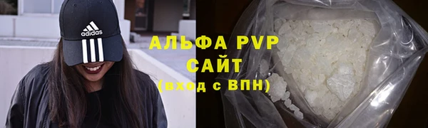 PSILOCYBIN Армянск