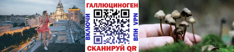 Галлюциногенные грибы мицелий  цена   Тейково 